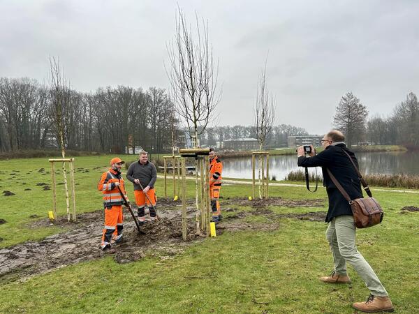 Bild vergr&ouml;&szlig;ern: Bäume Schlosspark