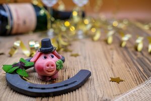 Bild vergr&ouml;&szlig;ern: Neujahrsempfang