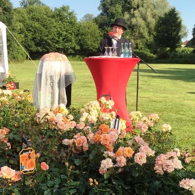 Bild vergr&ouml;&szlig;ern: Die Rose „Bentheimer Gold“ – ein prächtiger Botschafter Bentheims